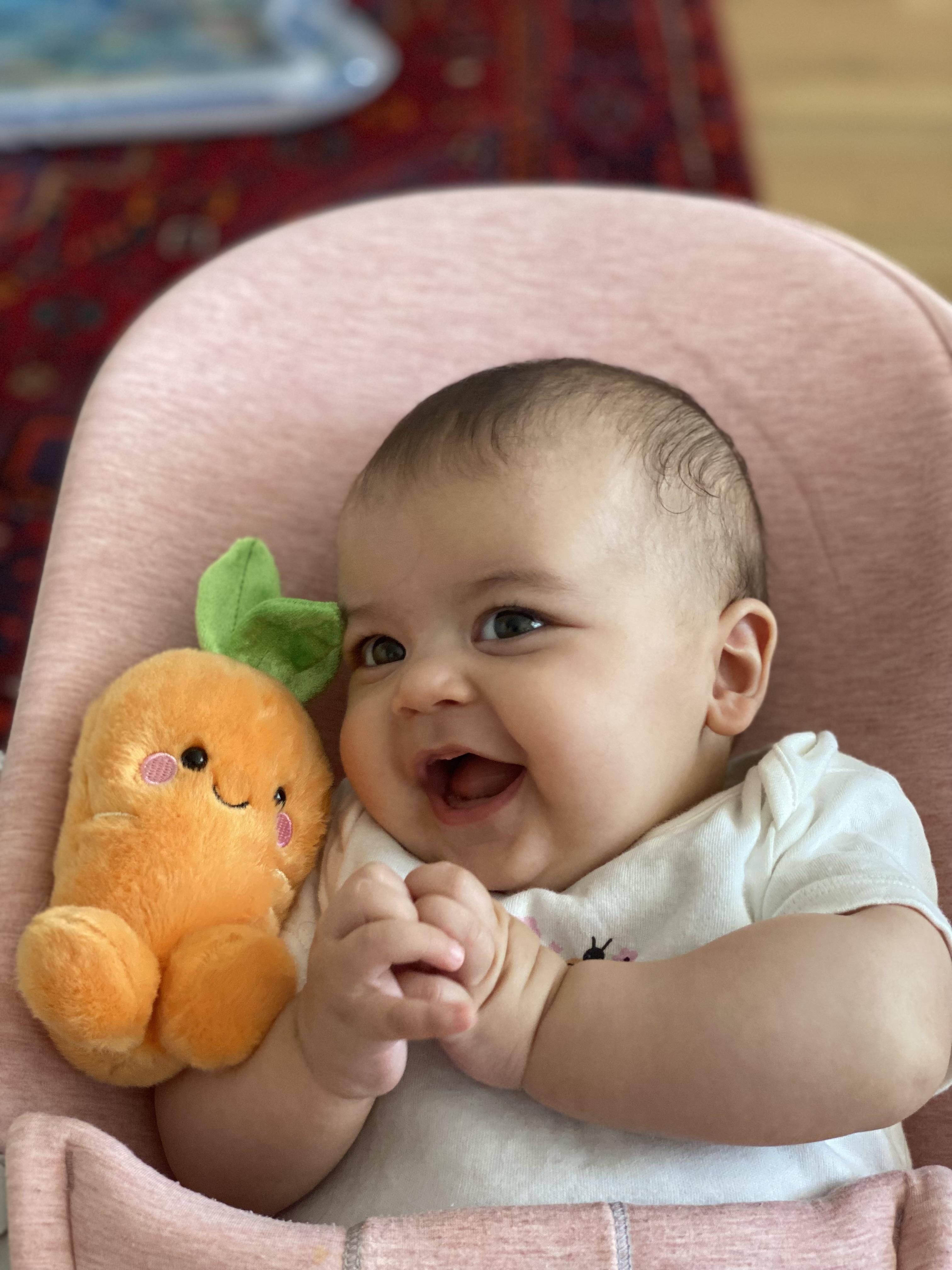 A smiling baby in a pink seat holds a plush orange toy with a green leaf.