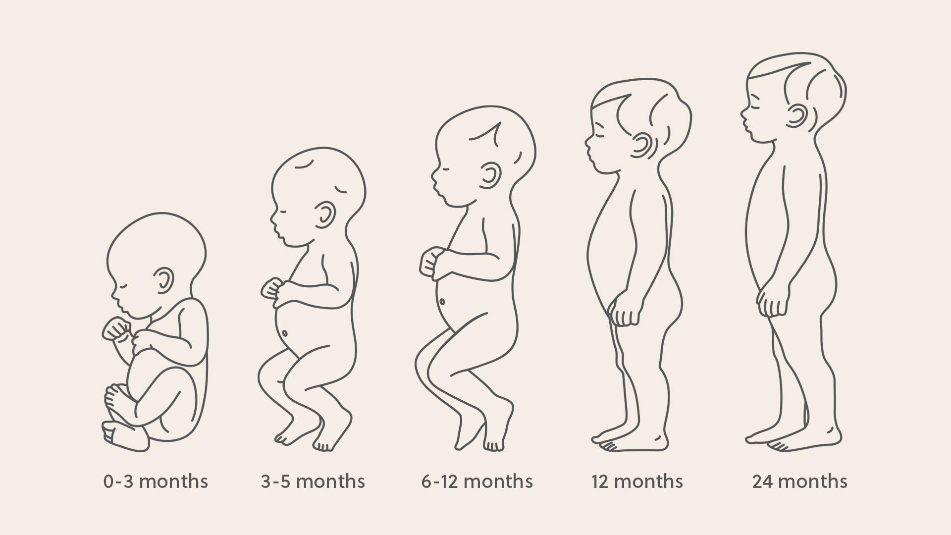 Ergonomic baby developement - BabyBjörn